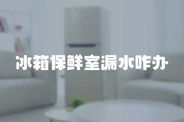 冰箱保鮮室漏水咋辦