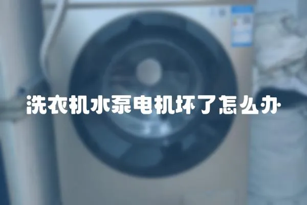 洗衣機(jī)水泵電機(jī)壞了怎么辦