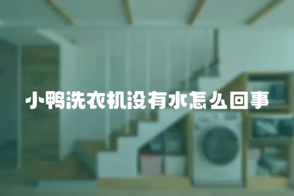 小鴨洗衣機沒有水怎么回事