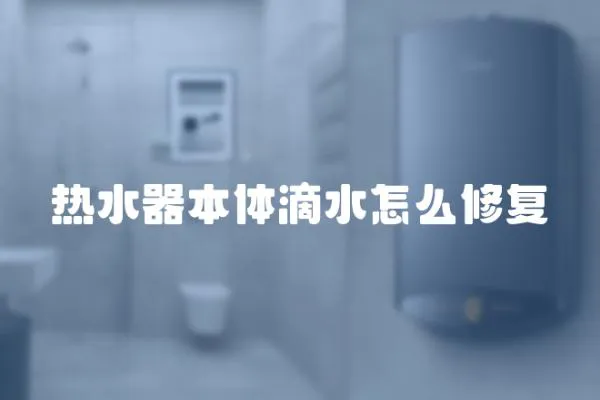 熱水器本體滴水怎么修復