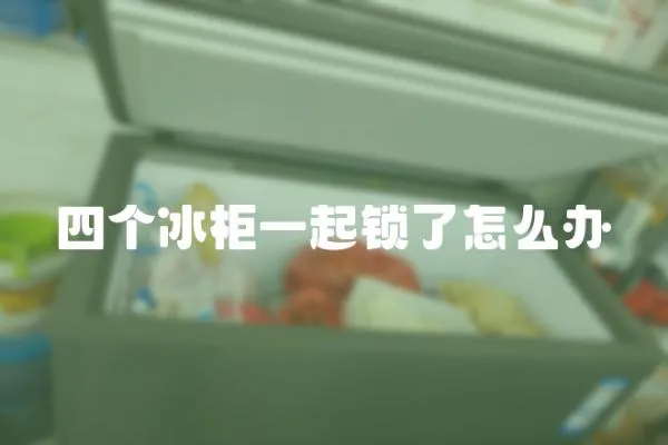 四個冰柜一起鎖了怎么辦