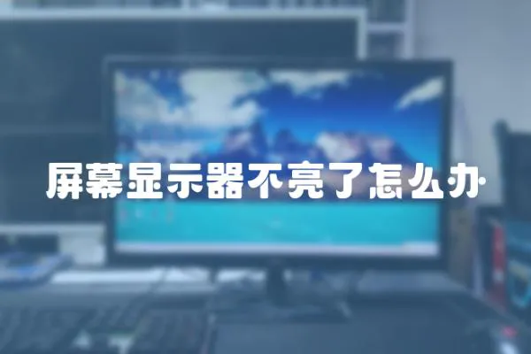 屏幕顯示器不亮了怎么辦