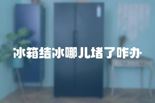 冰箱結冰哪兒堵了咋辦