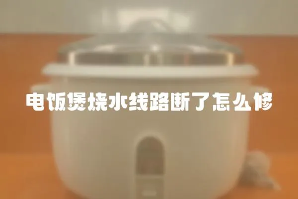 電飯煲燒水線路斷了怎么修