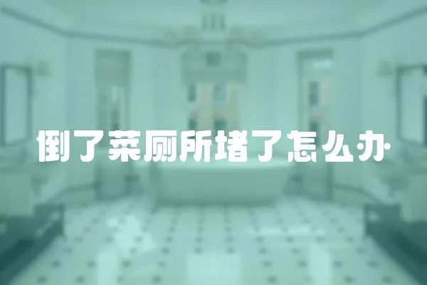 倒了菜廁所堵了怎么辦