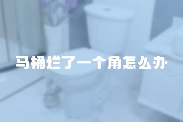 馬桶爛了一個角怎么辦