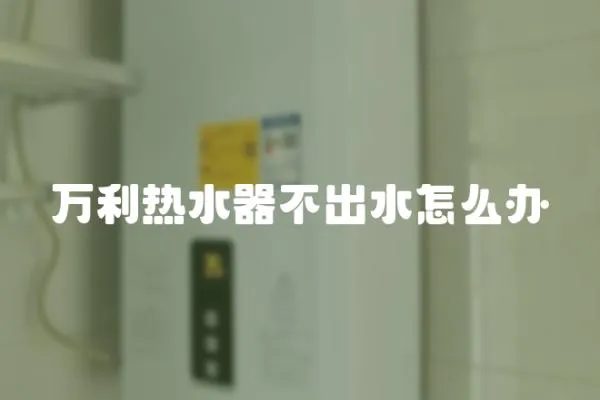 萬利熱水器不出水怎么辦