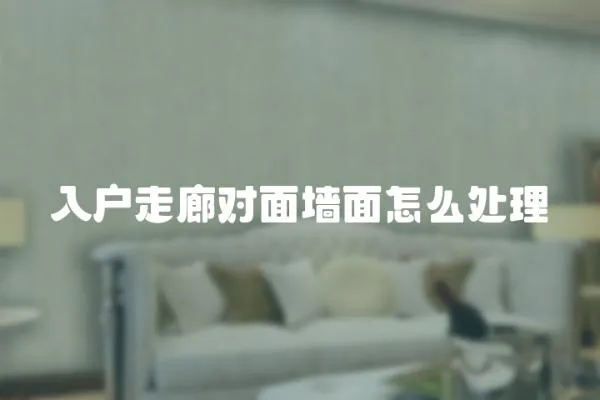 入戶走廊對(duì)面墻面怎么處理
