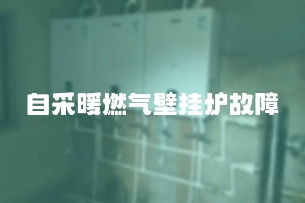 自采暖燃?xì)獗趻鞝t故障