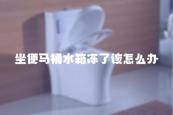 坐便馬桶水箱凍了該怎么辦