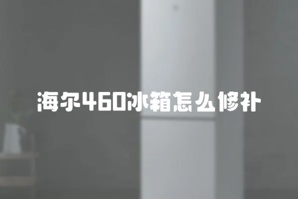 海爾460冰箱怎么修補