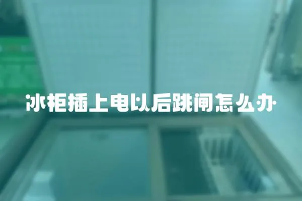 冰柜插上電以后跳閘怎么辦