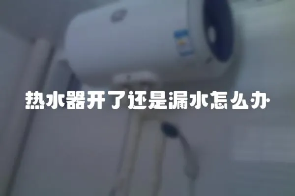 熱水器開了還是漏水怎么辦