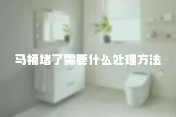 馬桶堵了需要什么處理方法