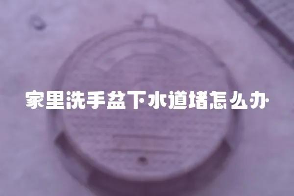 家里洗手盆下水道堵怎么辦