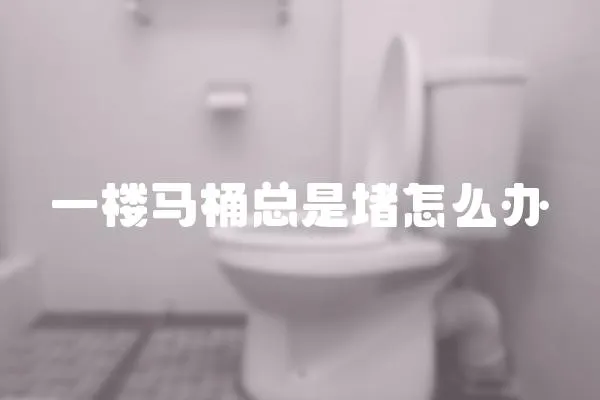 一楼马桶总是堵怎么办