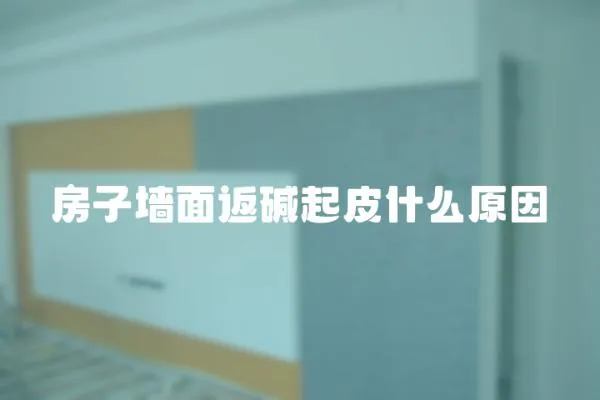 房子墻面返堿起皮什么原因