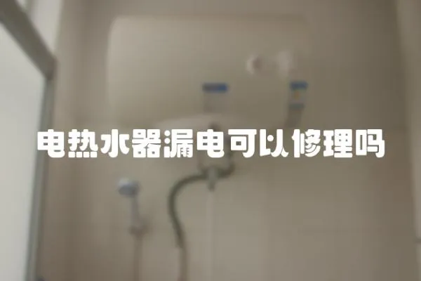 電熱水器漏電可以修理嗎