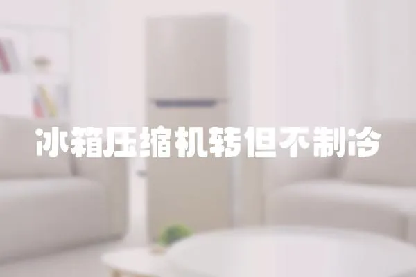 冰箱壓縮機轉但不制冷