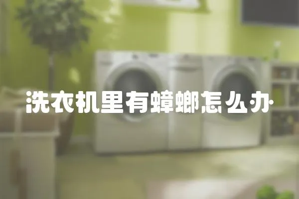 洗衣機里有蟑螂怎么辦
