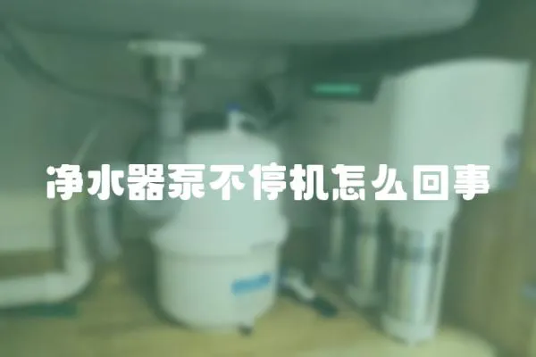 凈水器泵不停機怎么回事