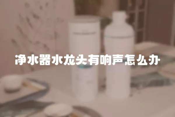 凈水器水龍頭有響聲怎么辦