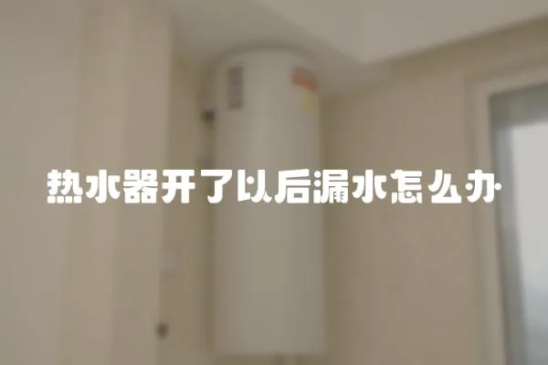 熱水器開了以后漏水怎么辦