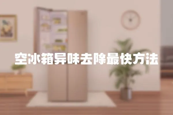 空冰箱異味去除最快方法
