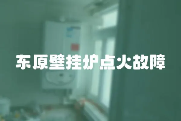東原壁掛爐點(diǎn)火故障