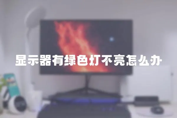 顯示器有綠色燈不亮怎么辦
