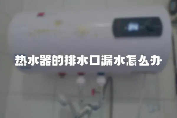 熱水器的排水口漏水怎么辦