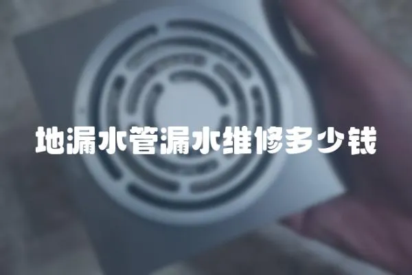 地漏水管漏水維修多少錢