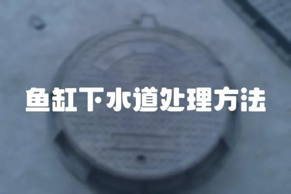 魚缸下水道處理方法