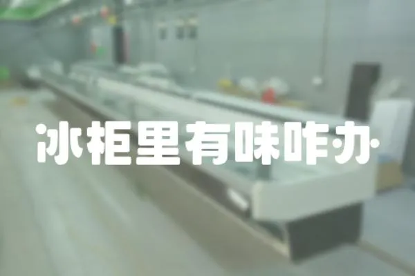 冰柜里有味咋辦