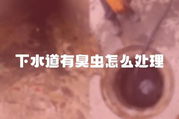 下水道有臭蟲怎么處理