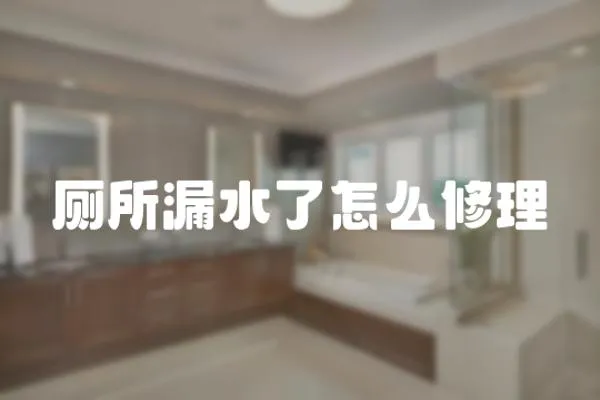 廁所漏水了怎么修理