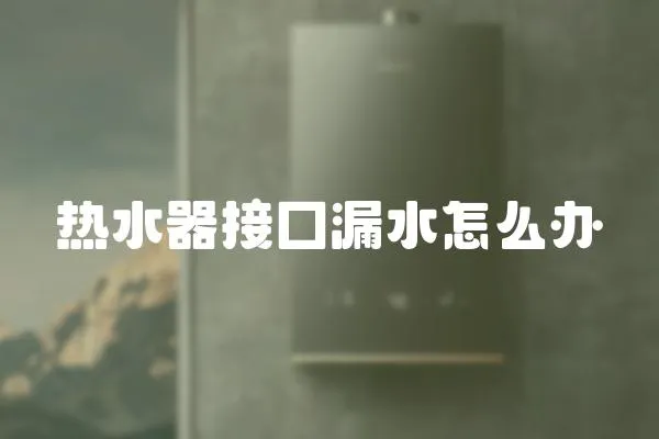 熱水器接囗漏水怎么辦