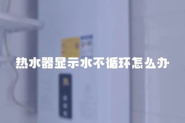 熱水器顯示水不循環怎么辦