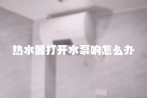 熱水器打開水泵響怎么辦