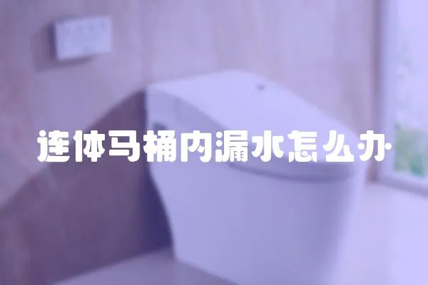 連體馬桶內漏水怎么辦