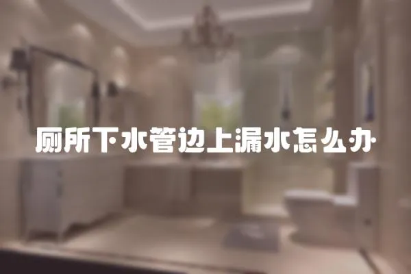廁所下水管邊上漏水怎么辦