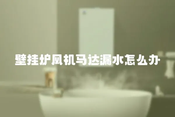 壁掛爐風機馬達漏水怎么辦
