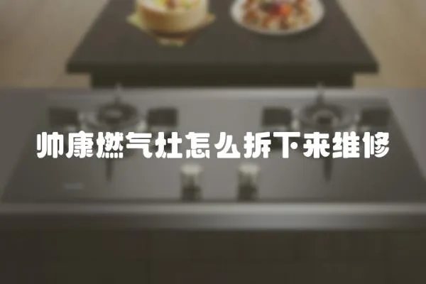 帥康燃?xì)庠钤趺床鹣聛砭S修