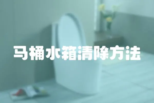 馬桶水箱清除方法