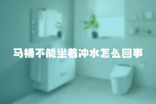 馬桶不能坐著沖水怎么回事