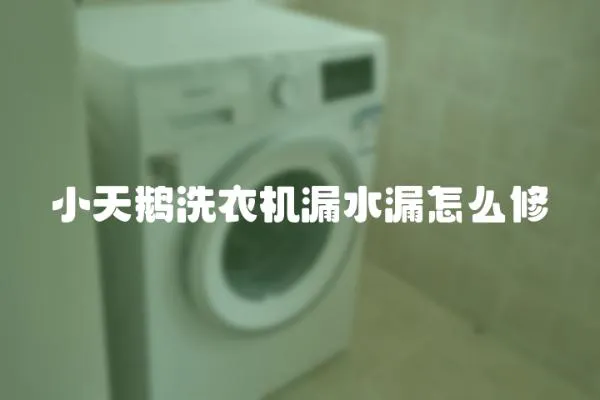 小天鵝洗衣機漏水漏怎么修