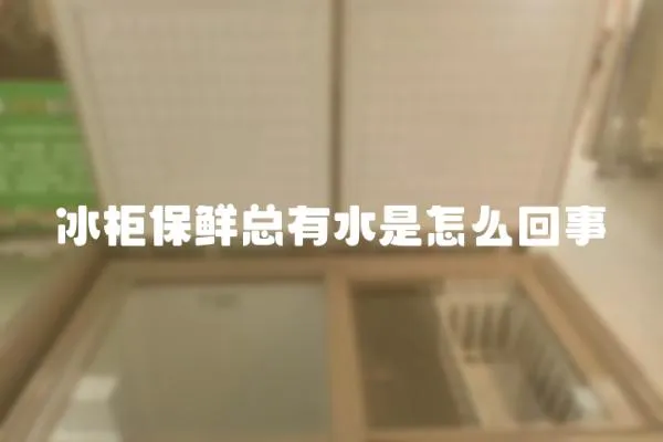 冰柜保鮮總有水是怎么回事