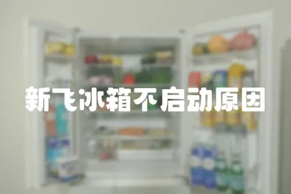新飛冰箱不啟動(dòng)原因