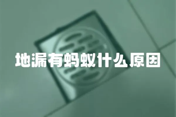 地漏有螞蟻什么原因