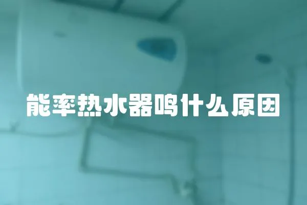 能率熱水器鳴什么原因